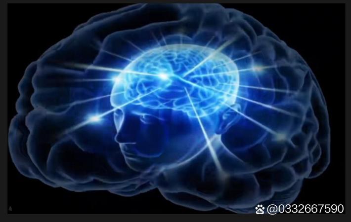 一线女星被爆出轨经纪人，工作室紧急发声明澄清